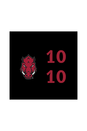 Arkansas Razorbacks Classic Screenshot 3