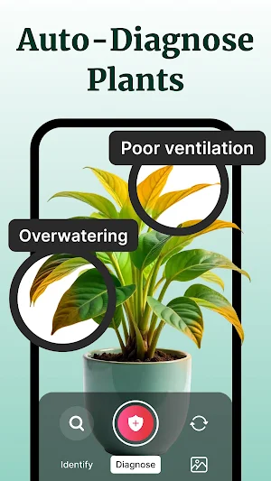 Plantlogy: AI Plant Identifier Screenshot 2