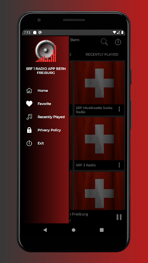 SRF 1 Radio App Bern Freiburg Screenshot 2