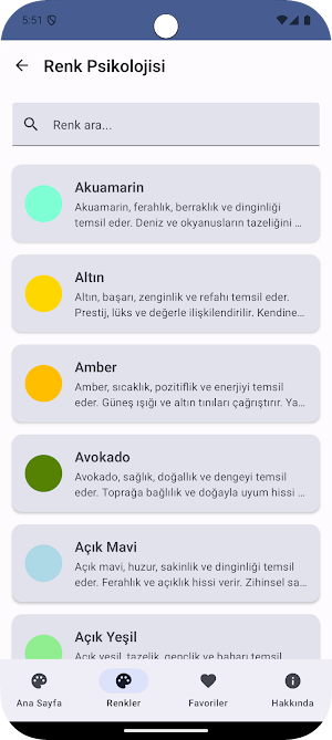 Renk Zihni Screenshot 1