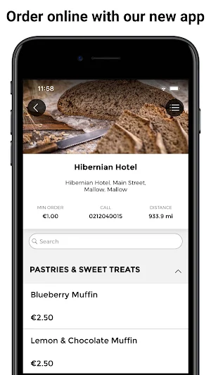 Hibernian Hotel Screenshot 0