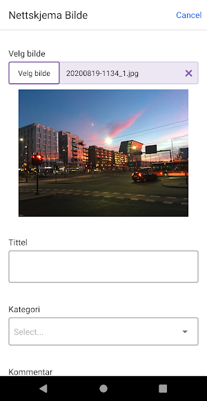 Nettskjema Bilde Screenshot 1