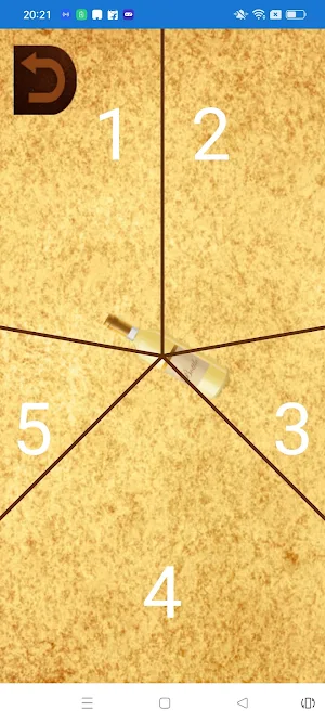 Party Spin Game Screenshot 3
