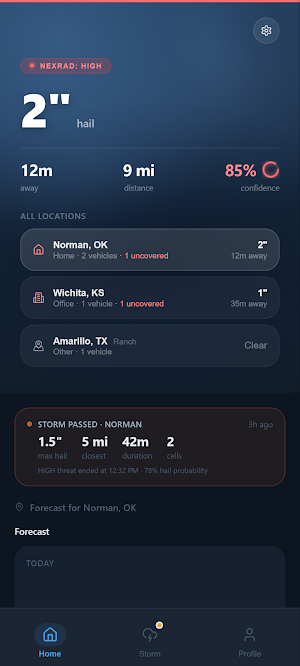 Hail Protector Screenshot 0