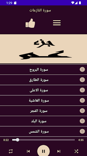 قران كريم بصوت اسلام صبحي Screenshot 2