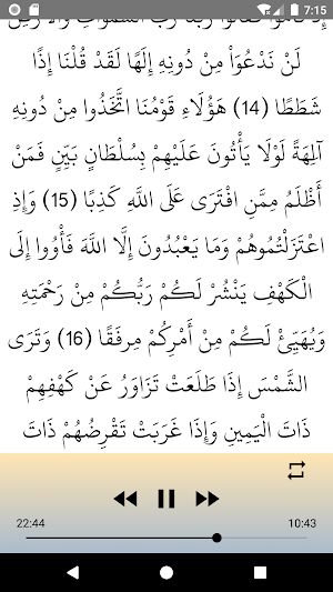 سورة الكهف رعد الكردي بدون نت Screenshot 3