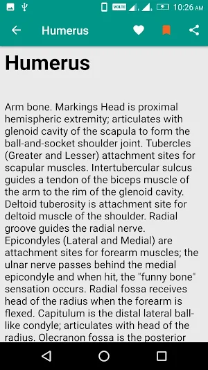 Human Anatomy Screenshot 2