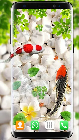 Koi Fish Live Wallpapers HD Screenshot 2