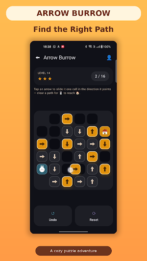 Arrow Burrow: Slide Puzzle Screenshot 2
