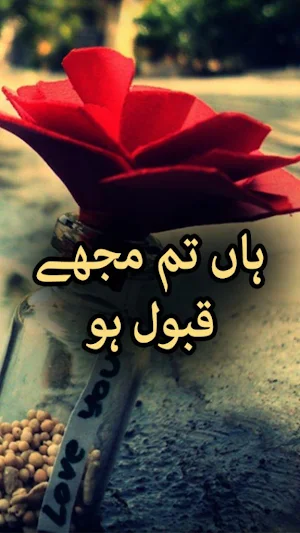 Haan Tum Mujhe Qubol Ho by Shazia - Urdu Novel Screenshot 0