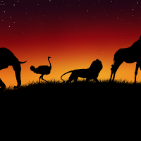 Animals background