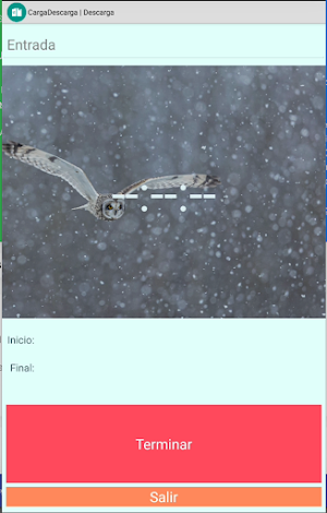 Carga Descarga Richer Screenshot 3