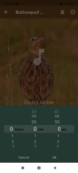 Buttonquail Sounds Screenshot 2