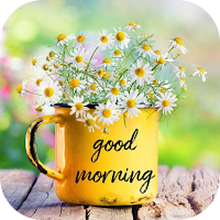 Good Morning Messages & Images