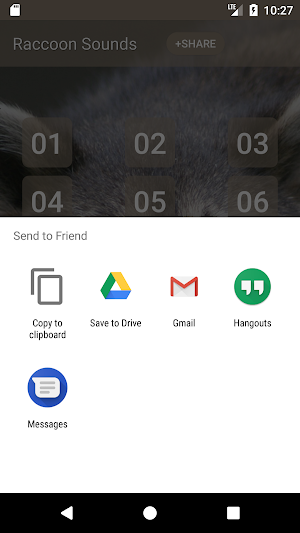 Raccoon Sounds Screenshot 3