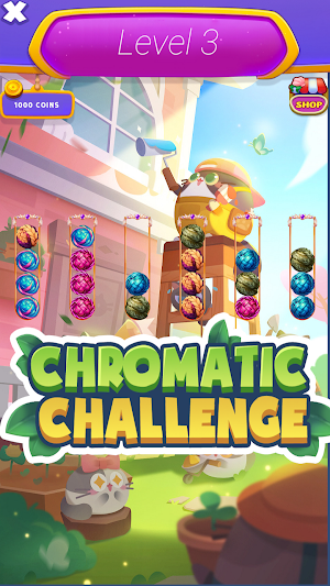Chromatic Challenge: Braid Screenshot 2