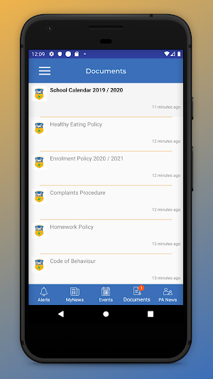 Scoil Bhride Naas Screenshot 3