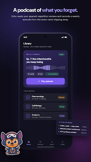EchoDecks: AI Audio Flashcards Screenshot 2