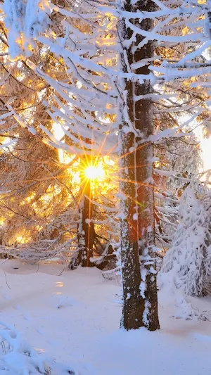 Sunbeam Wallpapers Screenshot 1