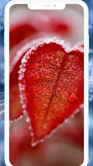 Winter Live Wallpapers HD Screenshot 2