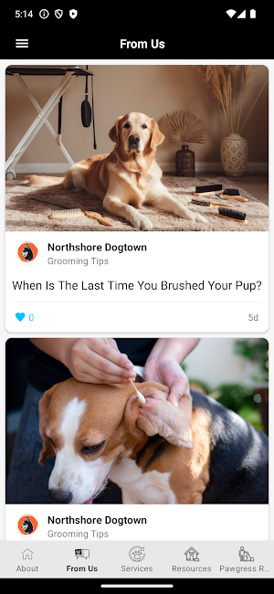 Northshore Dogtown Screenshot 2
