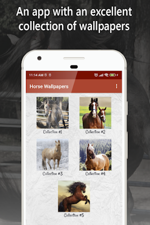 horse wallpapers, backgrounds Screenshot 0