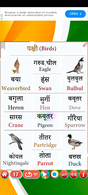 Learn Hindi Level 2 Screenshot 3