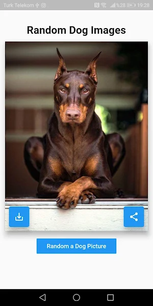 Random Animal Pictures Screenshot 0