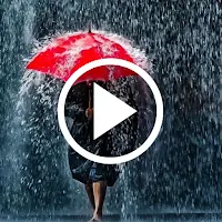 Rain Video Wallpapers