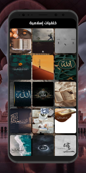 Quran - Abdel fattah Tarouti Screenshot 2