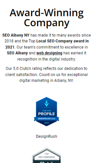Albany SEO Services Company Screenshot 3