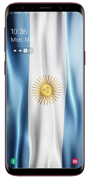 Argentina Flag Waving Live Wallpaper Screenshot 3