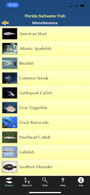 Florida Saltwater Fish Screenshot 3