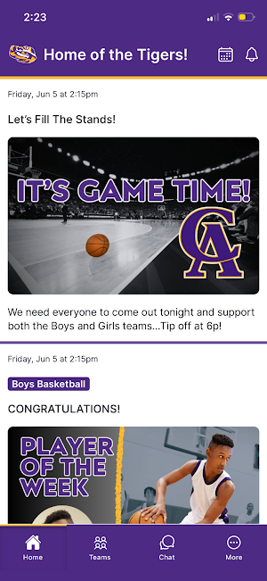 Centreville Academy Athletics Screenshot 0