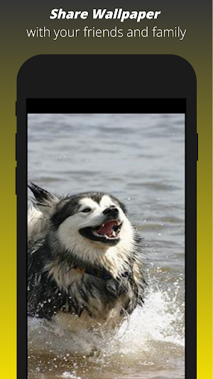 Dog Wallpaper HD Screenshot 1