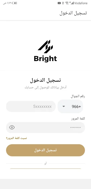 Bright Screenshot 1