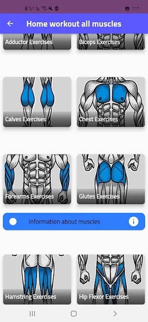 Home workout all muscles Screenshot 3