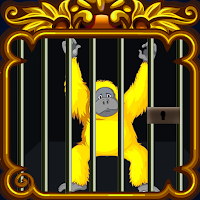 Escape Room - Animal tales