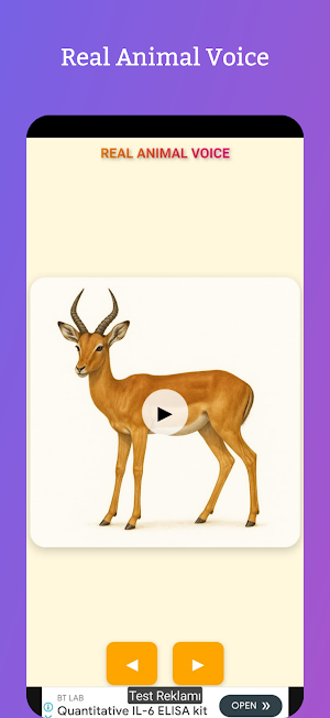 Real Animal Voice Offline Screenshot 3