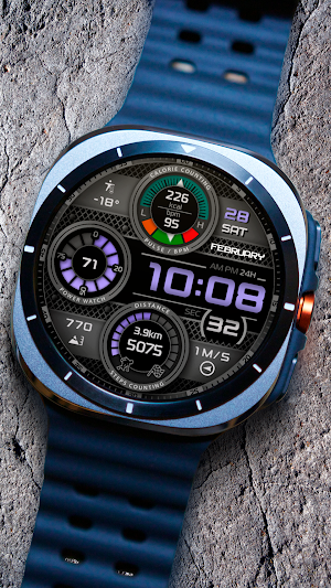 CFS146 Steel Gauge Screenshot 1