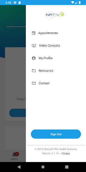 NATiV3 Screenshot 2