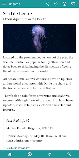 Brighton's Best: Travel Guide Screenshot 1