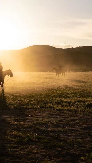 Horseback Riding Wallpaper Screenshot 0