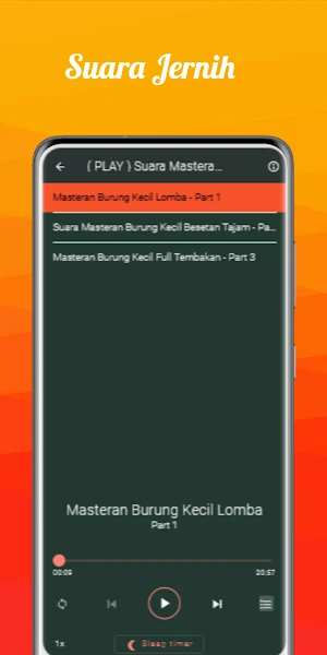 Suara Masteran Burung Kecil Screenshot 2