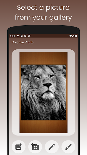 Colorize Photo - Black and White to Color Screenshot 0