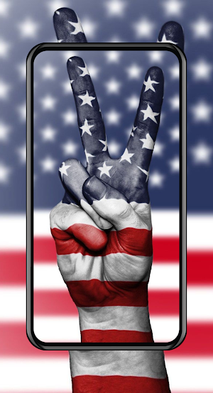 veterans day Screenshot 0