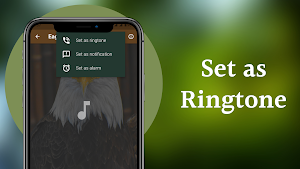 Eagle Sounds Screenshot 3