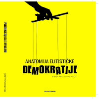 Anatomy of elitist democracy
