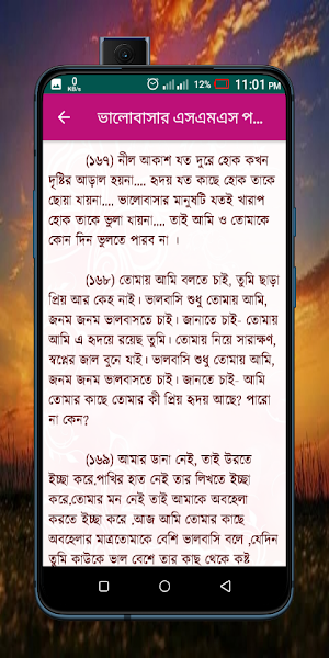 বিজয় দিবসের এসএমএস Screenshot 1