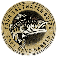 Your Saltwater Guide